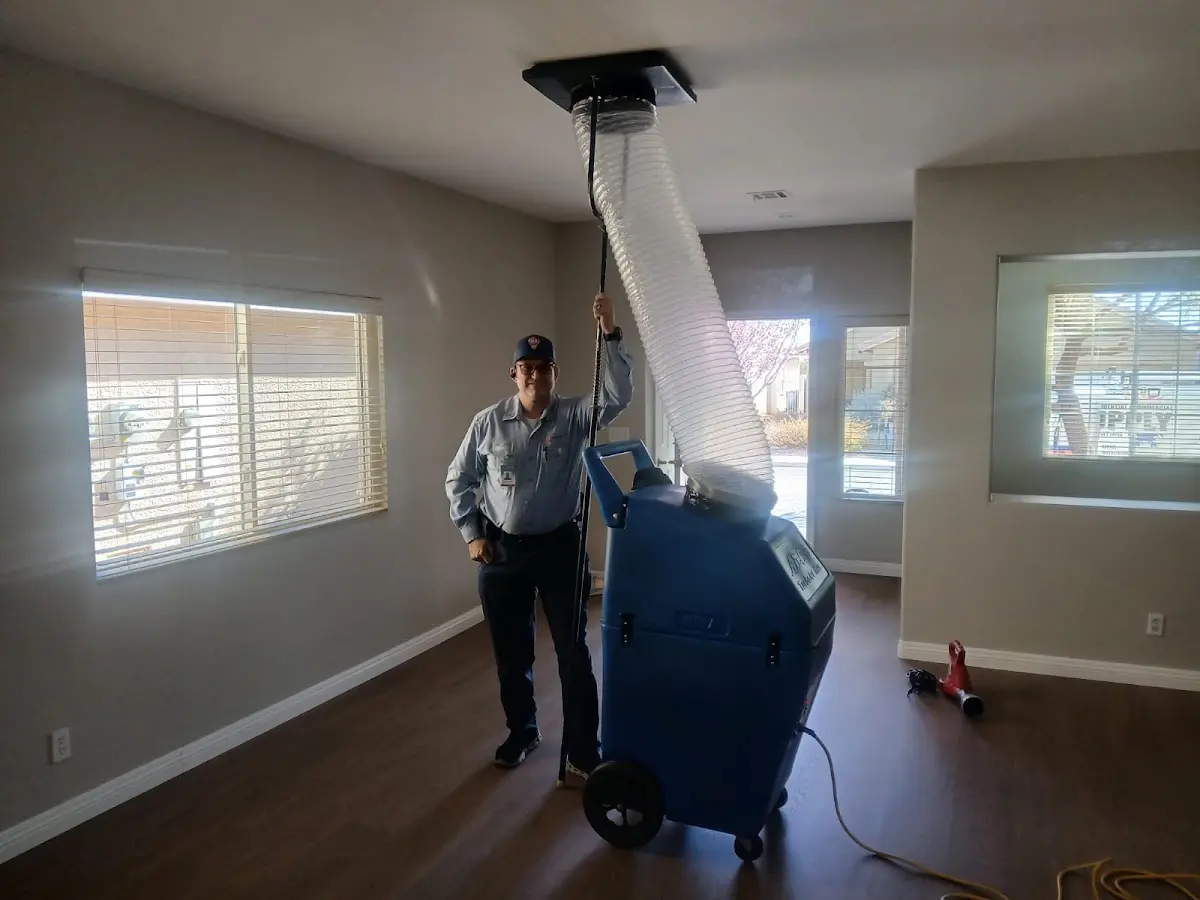 Professional Dryer Vent Cleaning work inside a Whitpain home